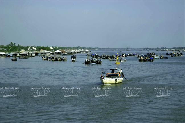 越南九龙江平原位于湄公河终端.越南画报资料